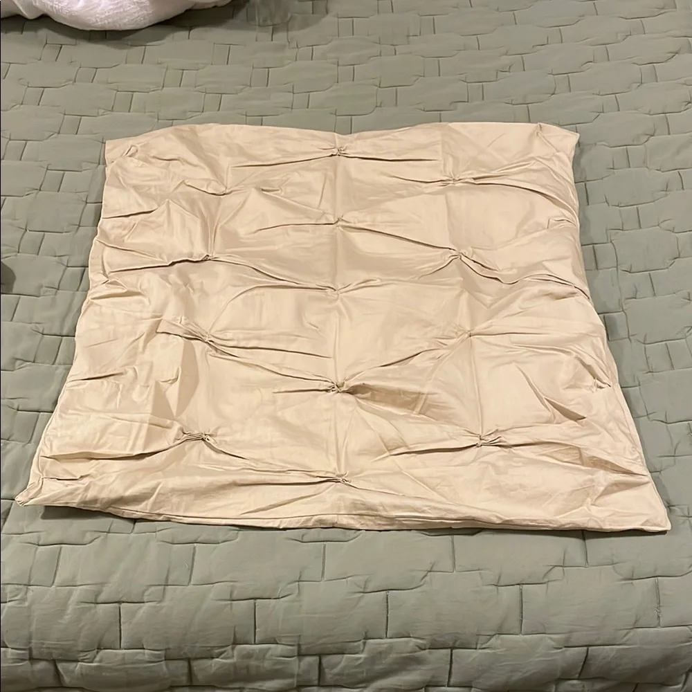 West Elm Euro Shams, Set of 2